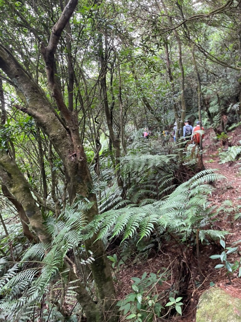 雙溪溝古道_1828391