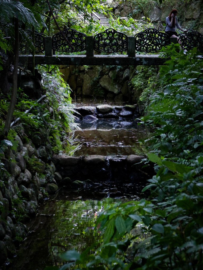 虎豹獅象四山連走-捷運：後山埤起出發-象_1255399