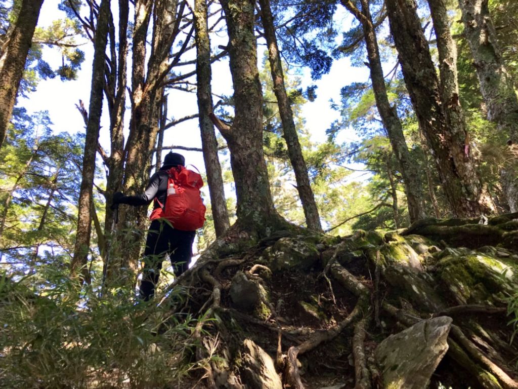 羊頭山上艷陽天_407608