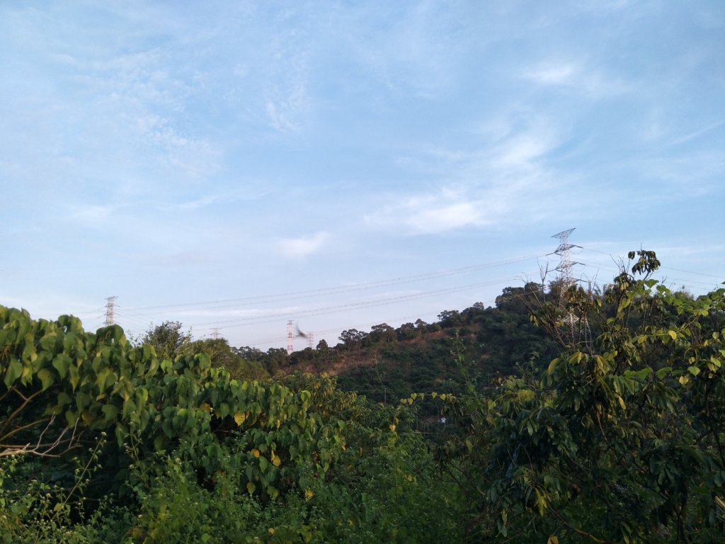 霧峰萬豐社區環山步道_1919595