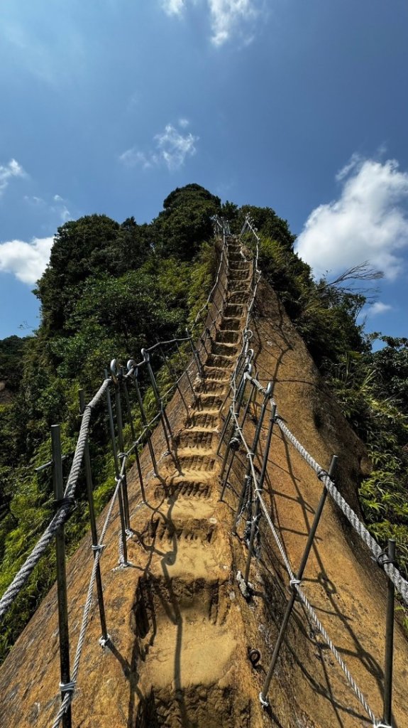 孝子山、普陀山、慈母峰賞鹿子野百合O走封面圖