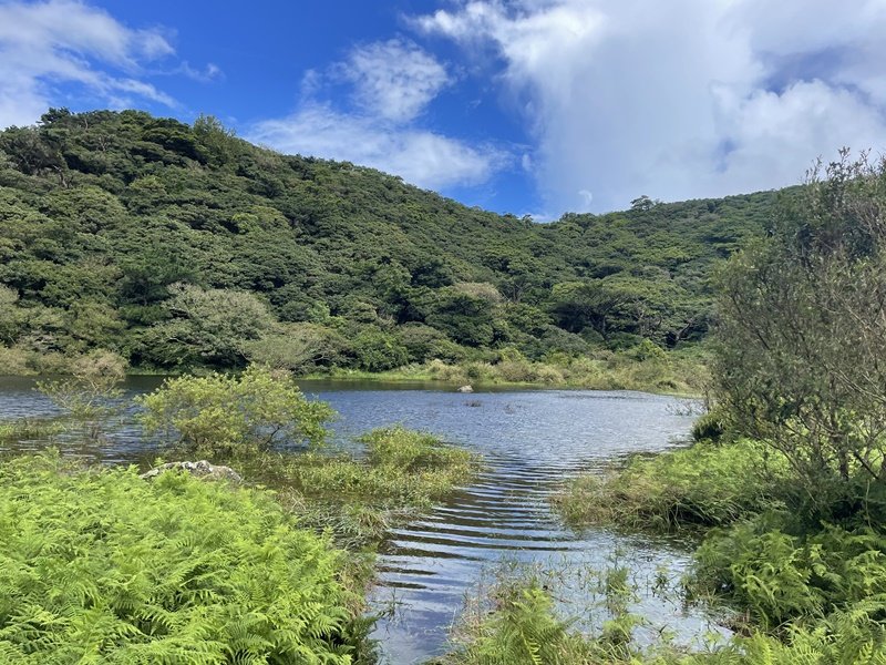 滿水的向天池封面圖