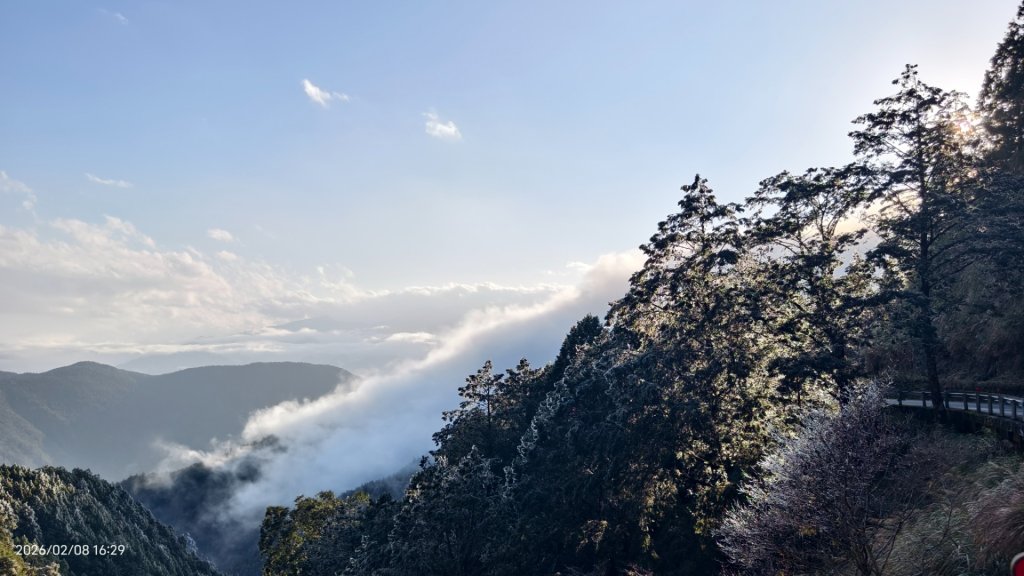 #霧淞 #雲海 #雲瀑 #霧虹 #太平山 #望洋山 #觀雲步道 #翠峰道路  2/8_2995282