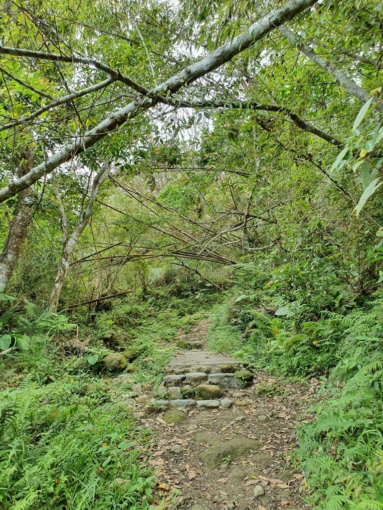 1090313台東聖山~都蘭山_881067