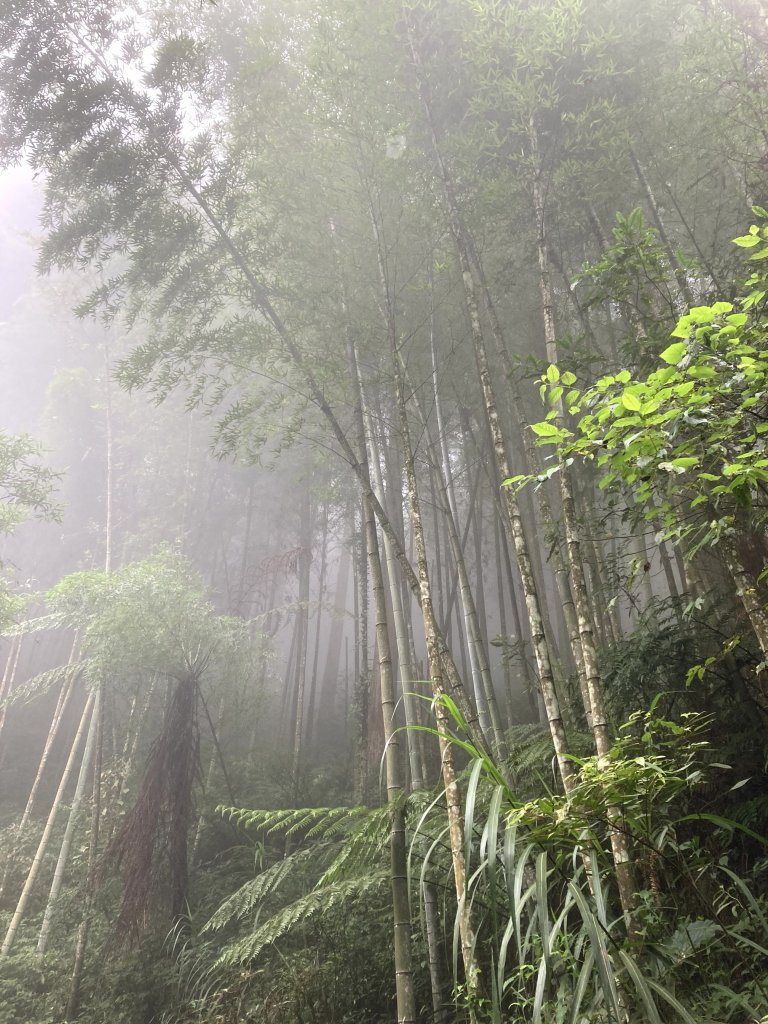 2023-09-30 頂石棹 雲之道_2300732