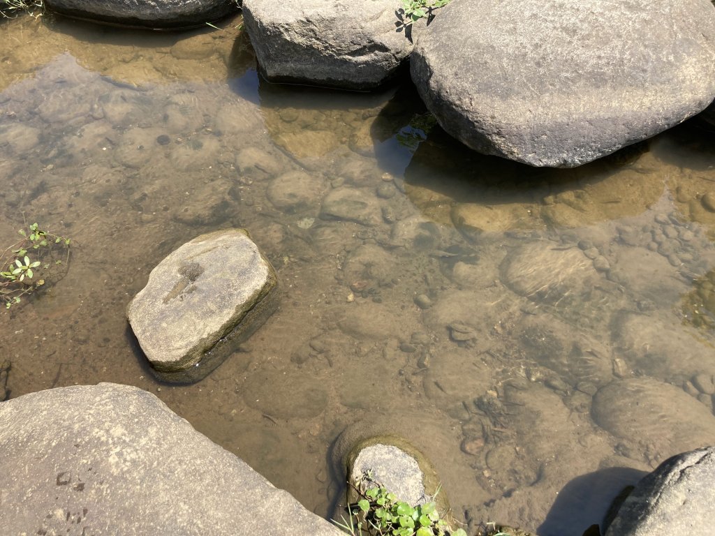 2022.07.31 【臺北大縱走第四段】大湖公園-風櫃嘴：圓覺寺瀑布、白石湖吊橋、碧山、梅花山_1799273