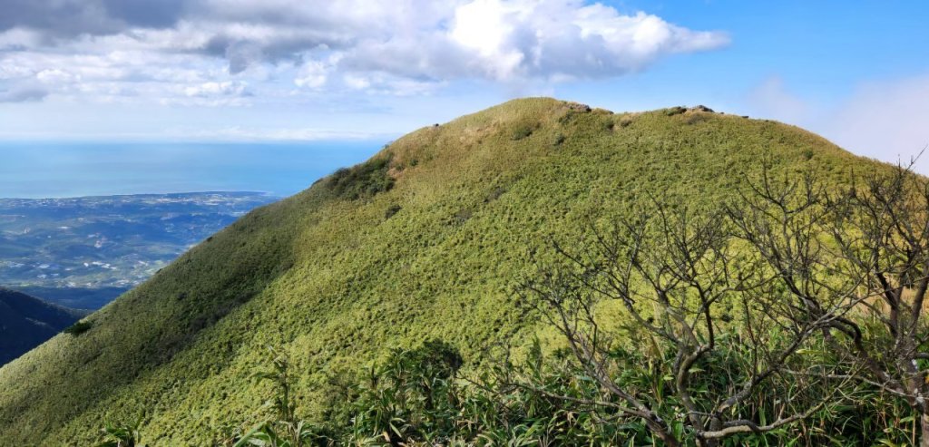 【中級山】台北版抹茶山竟然有免申請路線，小觀音山西峰單攻，順遊頂湖海芋步道，竹子湖黑森林_2742391