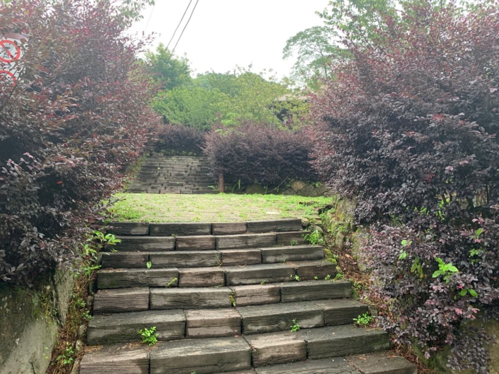 阿里山迷糊步道_1029007