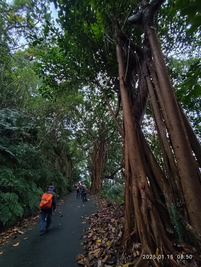 2-1 捷運新店站→碧潭吊橋→和美山登山步道(綠線親山步道)→碧潭吊橋_2690708