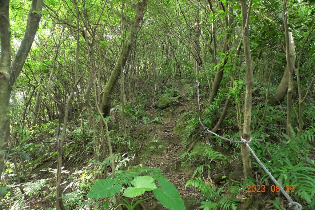基隆 頂寮山、龍門山、五分山、頂子寮山_2265930