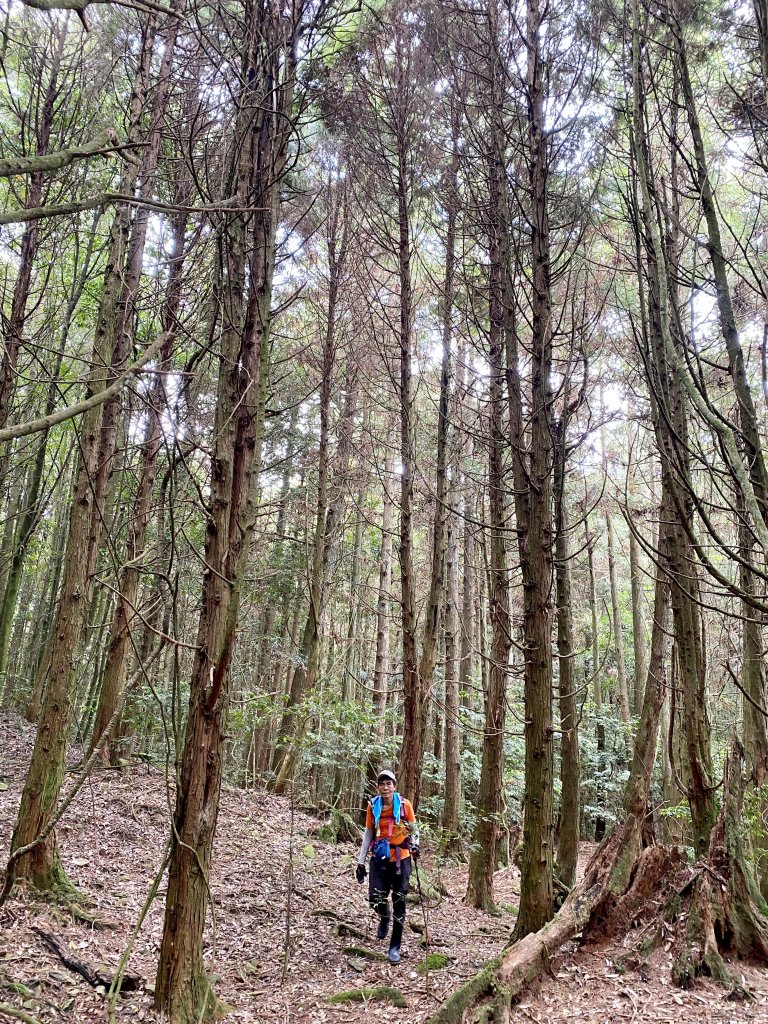 終於登上百志興保山順撿永安山    2021/4/19_1356975