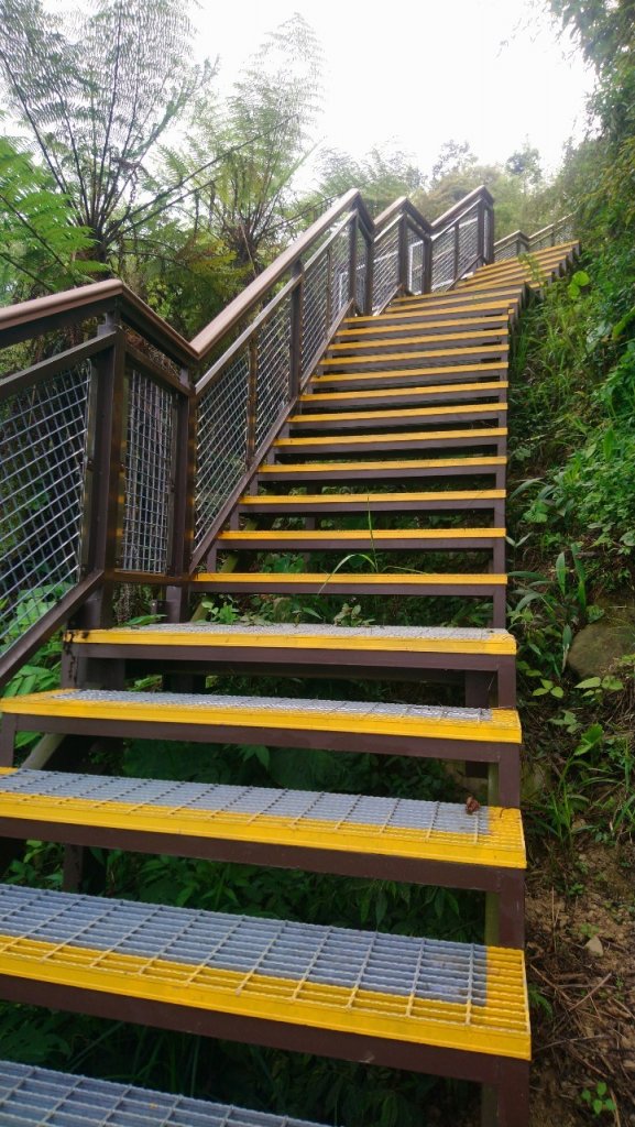 樟湖山、後棟仔山、大尖山、二尖山4山連走_1336986