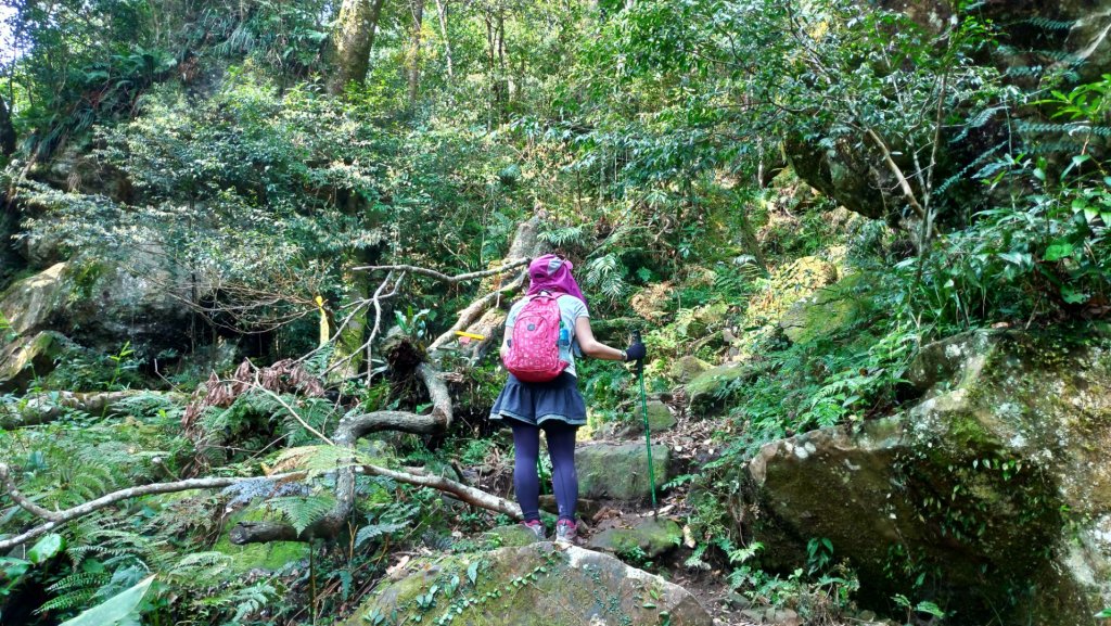 鵝公髻山、第二登山口起登_889755