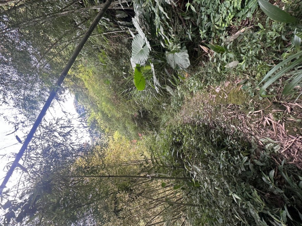 061嘉義竹崎-大湖尖山_2634098