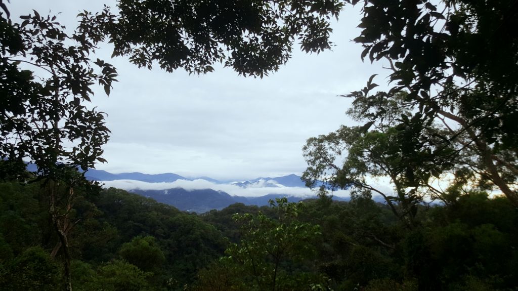 2017/11/25飛鳳山_212726