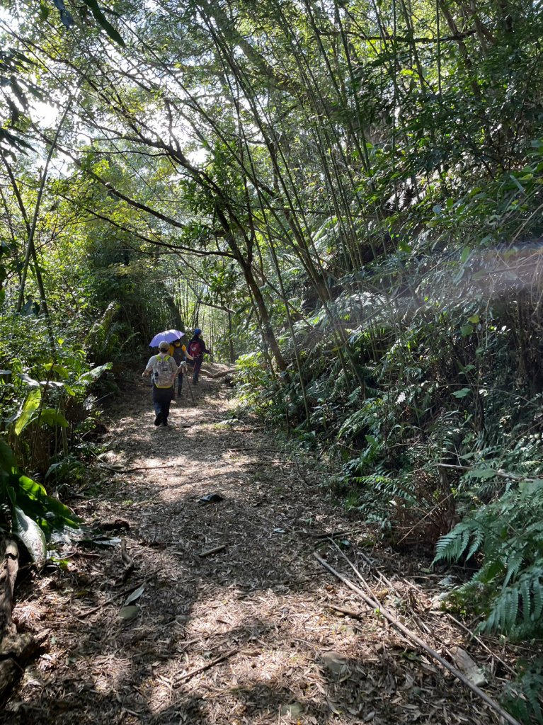 赤蘆古道_2017309
