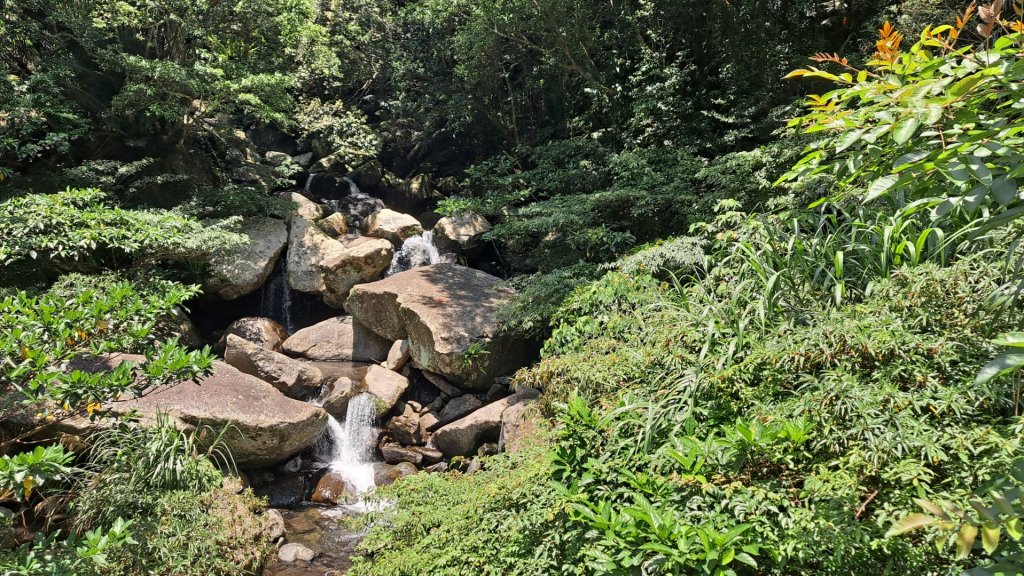 20240516新北三峽滿月圓森林步道&三峽老街_2511683