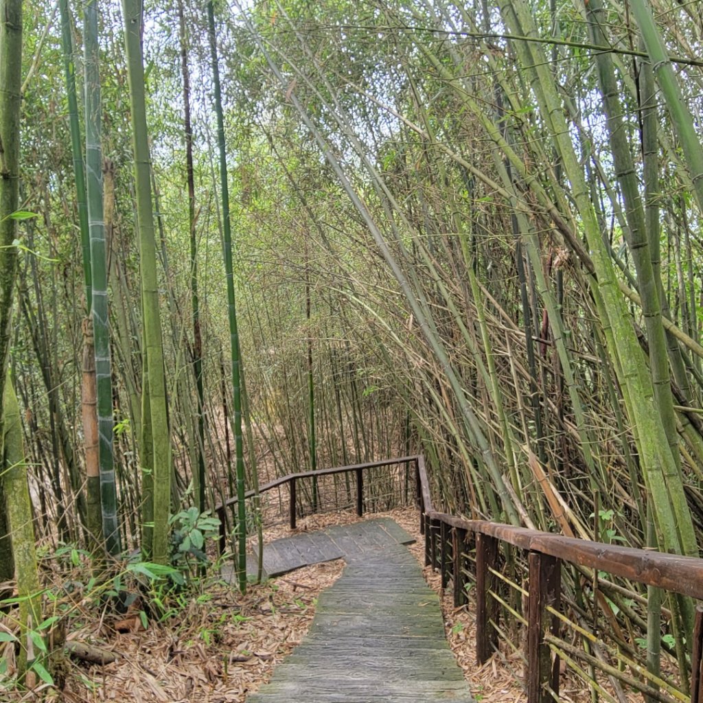 雅吾瑪斯步道_1704109