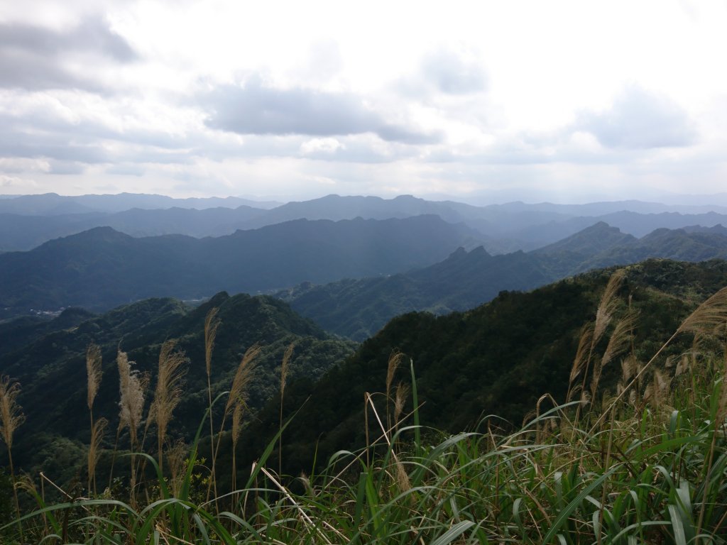 泰安瀑布-姜子寮山步道封面圖