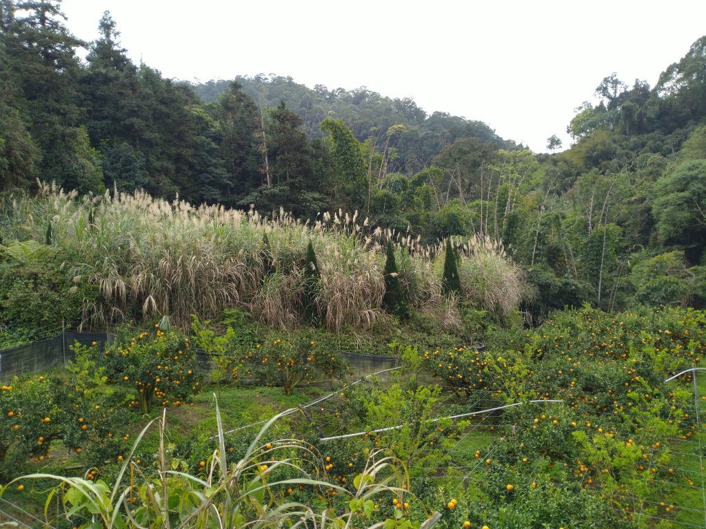 2022-02-26 馬那邦山_1621356