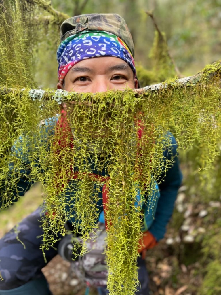 對關追龍貓🚌_1967745