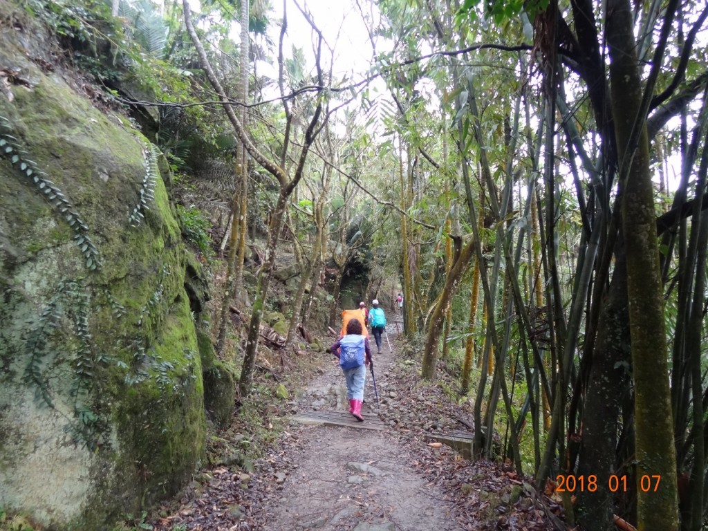台南第一高山大凍山_240792