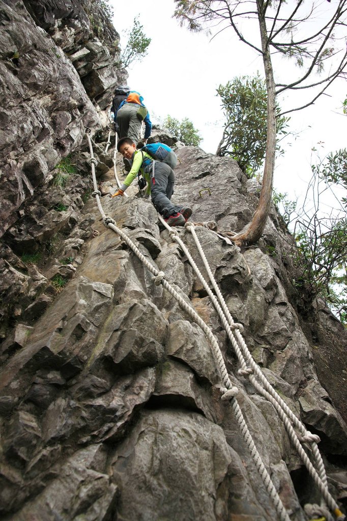鳶嘴與稍來O型_552799
