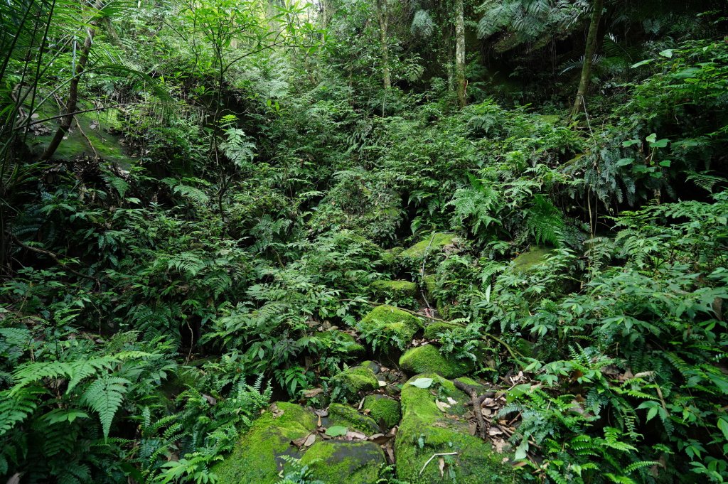 新北 平溪 峰頭尖_2779547