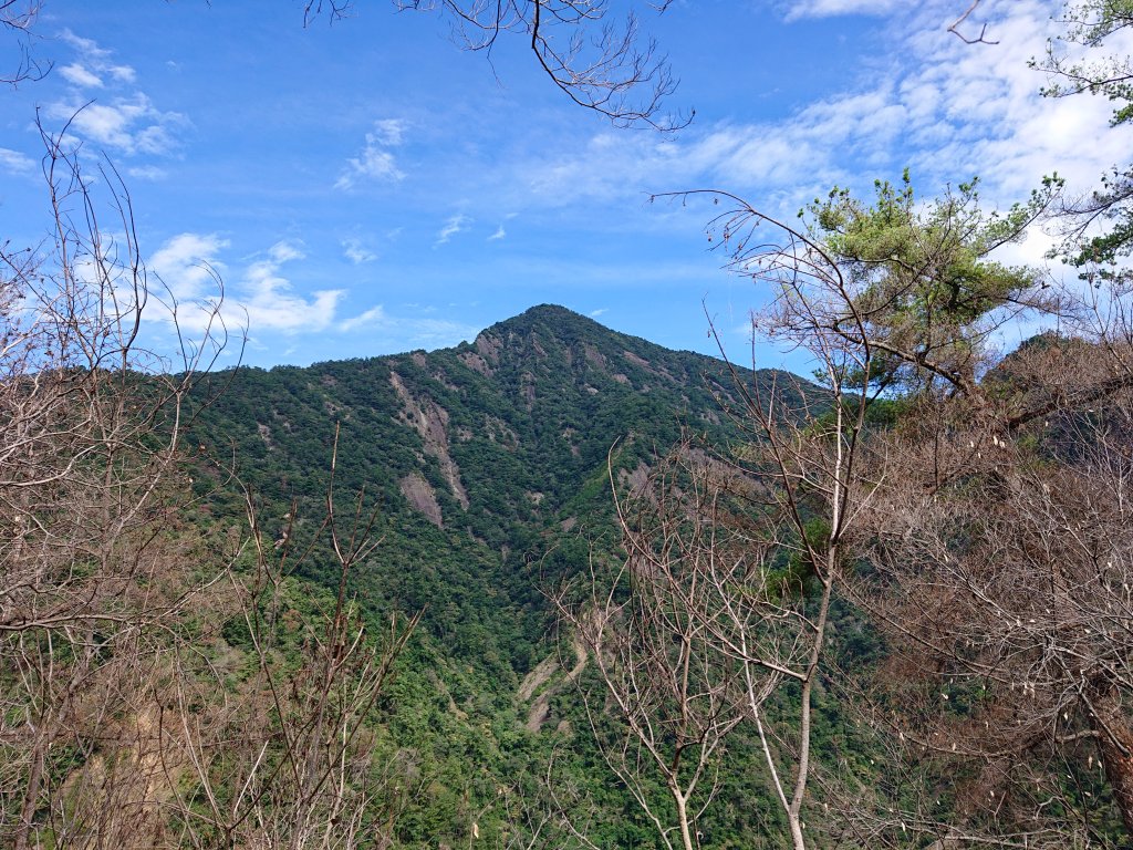 惠蓀林場_1484861