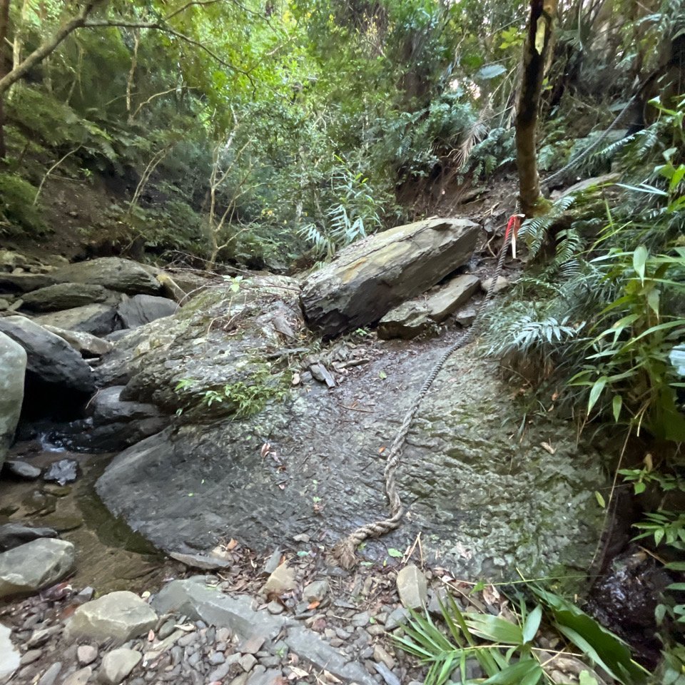 20251214_女仍山（屏東小百岳）_2968707