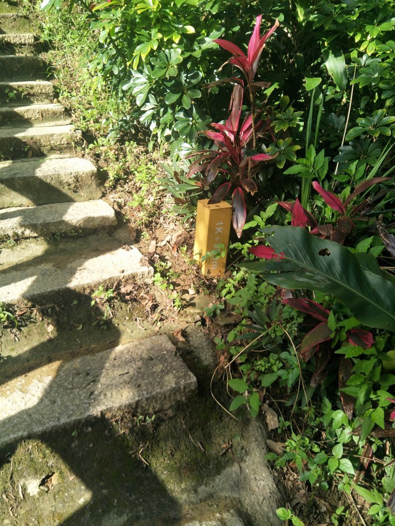 桃園石門山步道_1744815