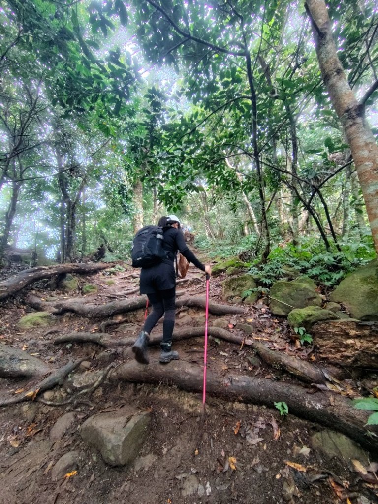 馬那邦山_2974991