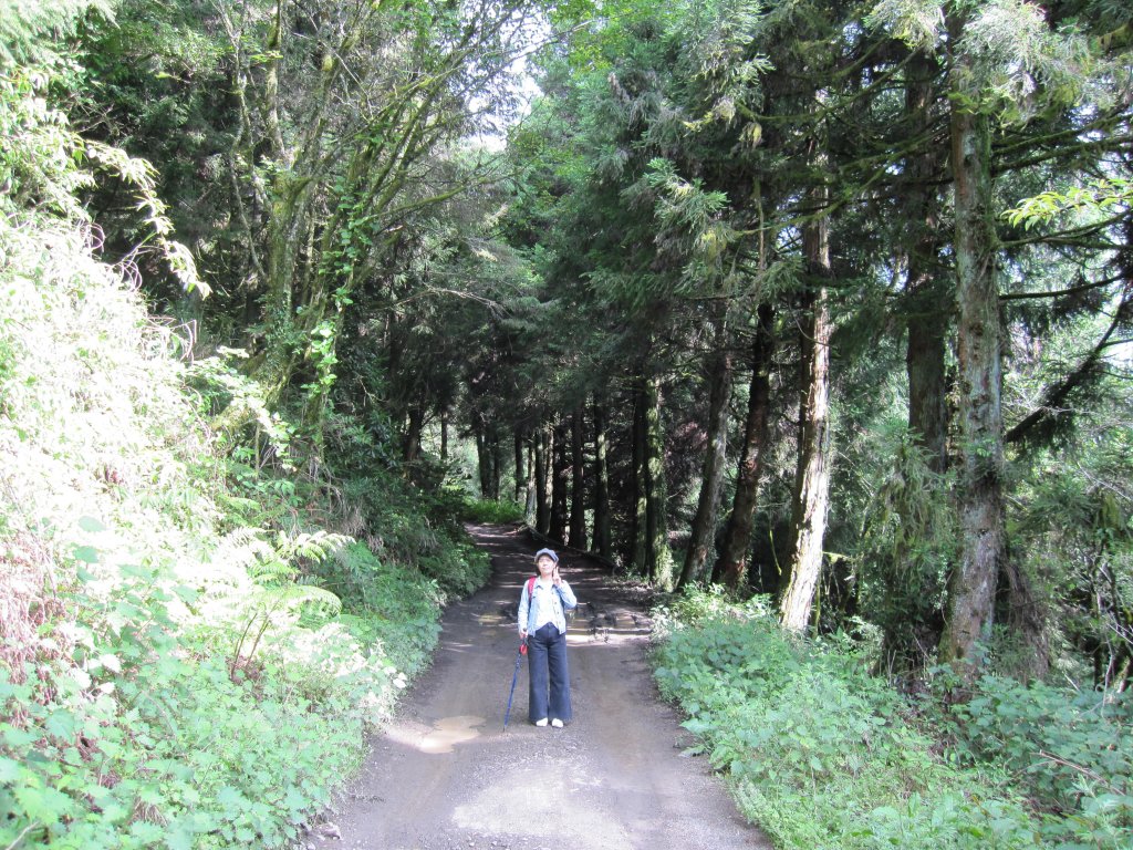 處處都是美景的合歡溪步道_1026186