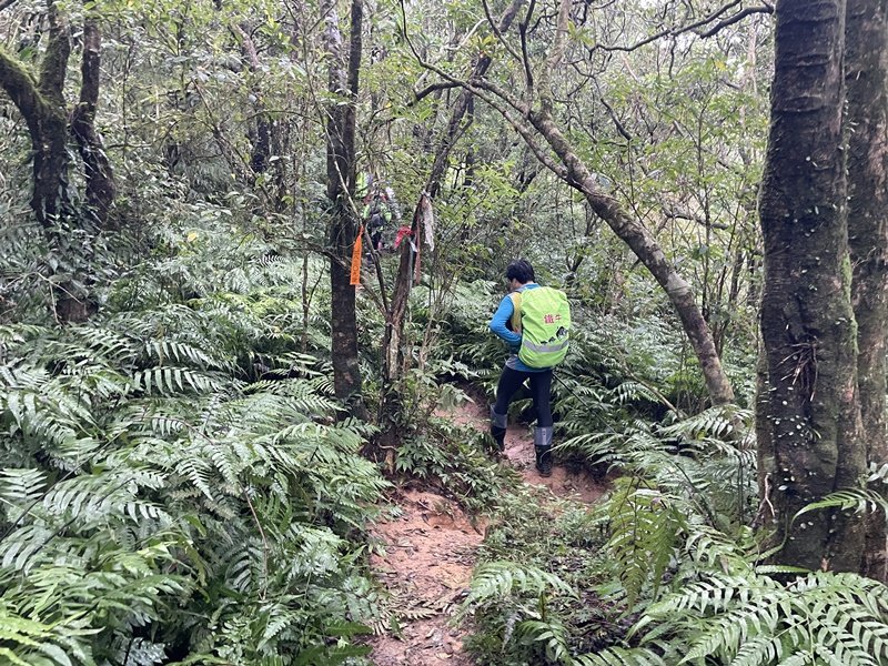 龍虎縱走_2945610