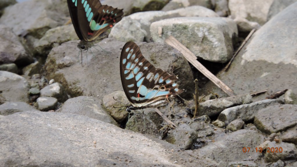 就是喜歡這個藍天白雲的FU_1032052