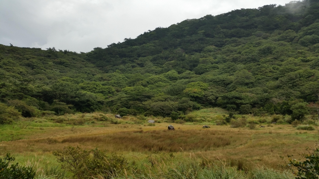 【台北/北投】大屯五連峰連峰縱走_2600