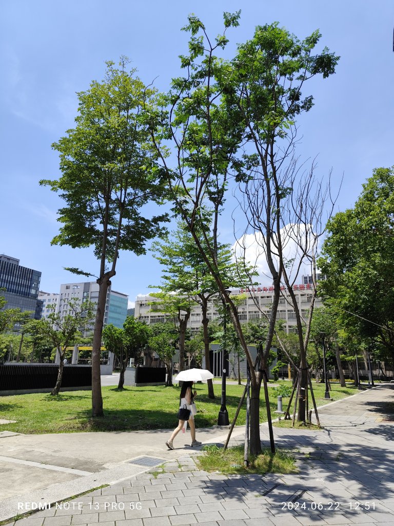 大安森林公園【走路趣尋寶】；大港墘公園、瑞陽公園【臺北健走趣】_2535126