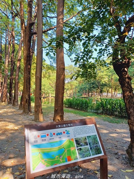 【高雄。鳳山新興】捷運小旅行~迷你版忘憂森林大東濕地步道x光之穹頂_1541872