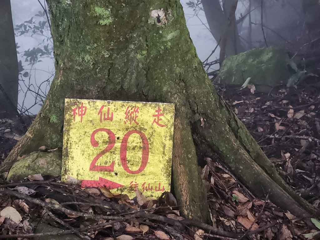 【苗栗】仙神縱走_2691284