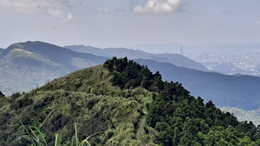 《老鷹怎麼這麼多》五分山_小百岳#10_1146499