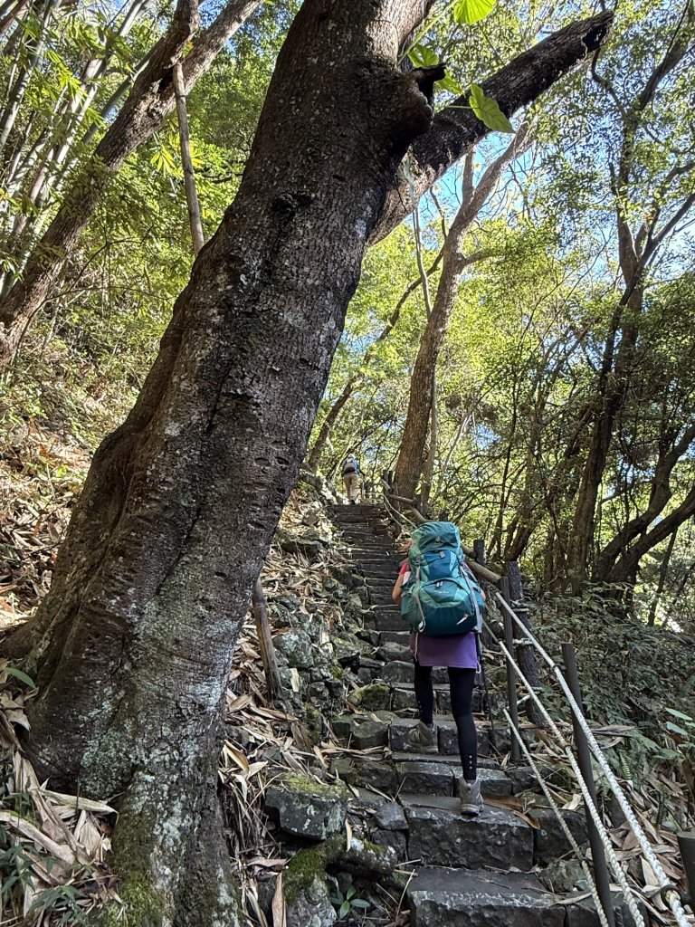 波津加山 20250914_2893364