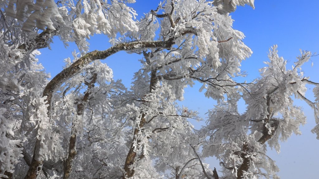 北得拉曼霧淞_1963112
