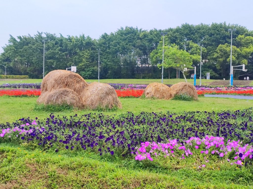 2024年臺北大縱走第八段：捷運動物園站至捷運關渡站封面圖