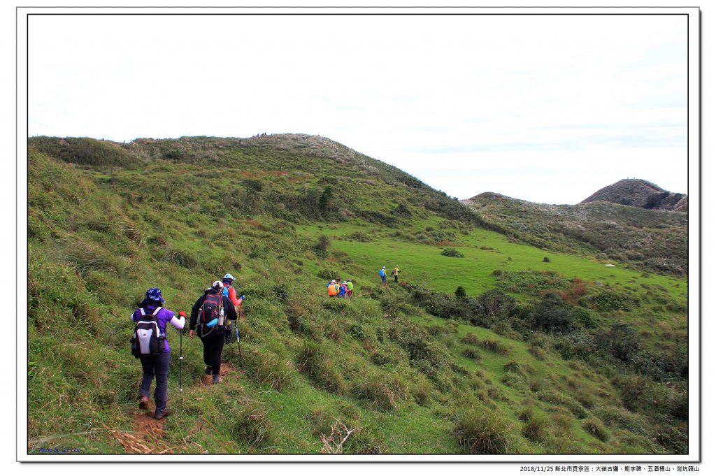 大嶺古道、五酒桶山縱走灣坑頭山_469541