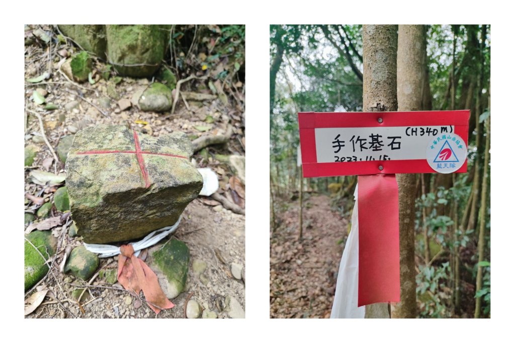 飛沙龍逆走_2988908