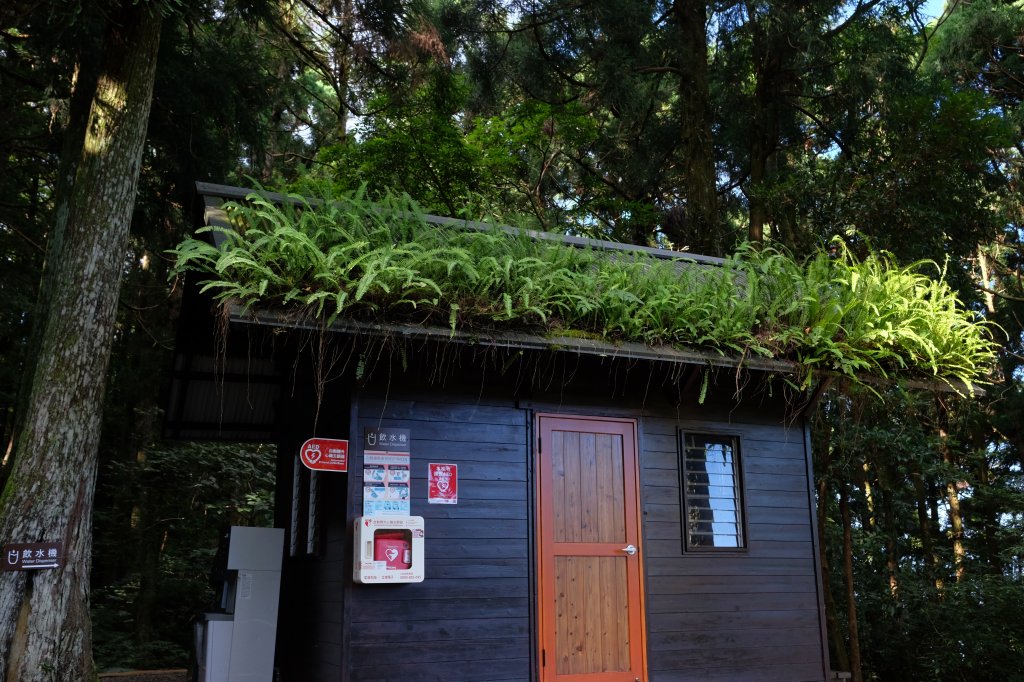 桃園復興區  東卡O縱_2823796