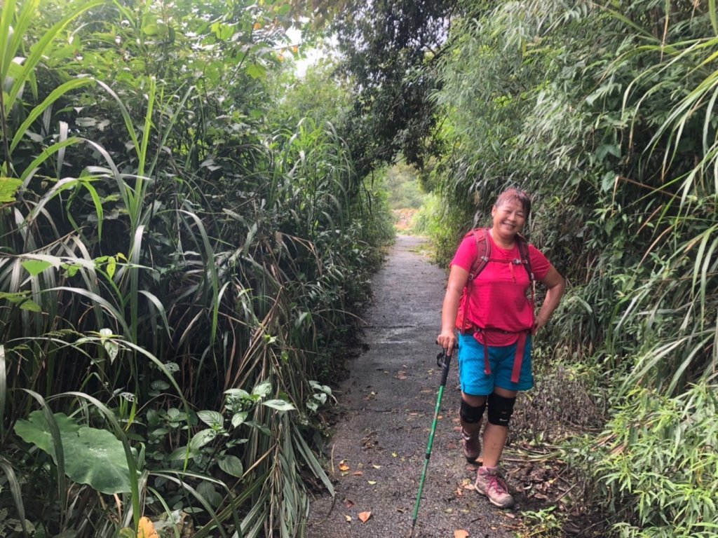 後棟山經挑筍古道上大尖山再走樟湖山_1100364