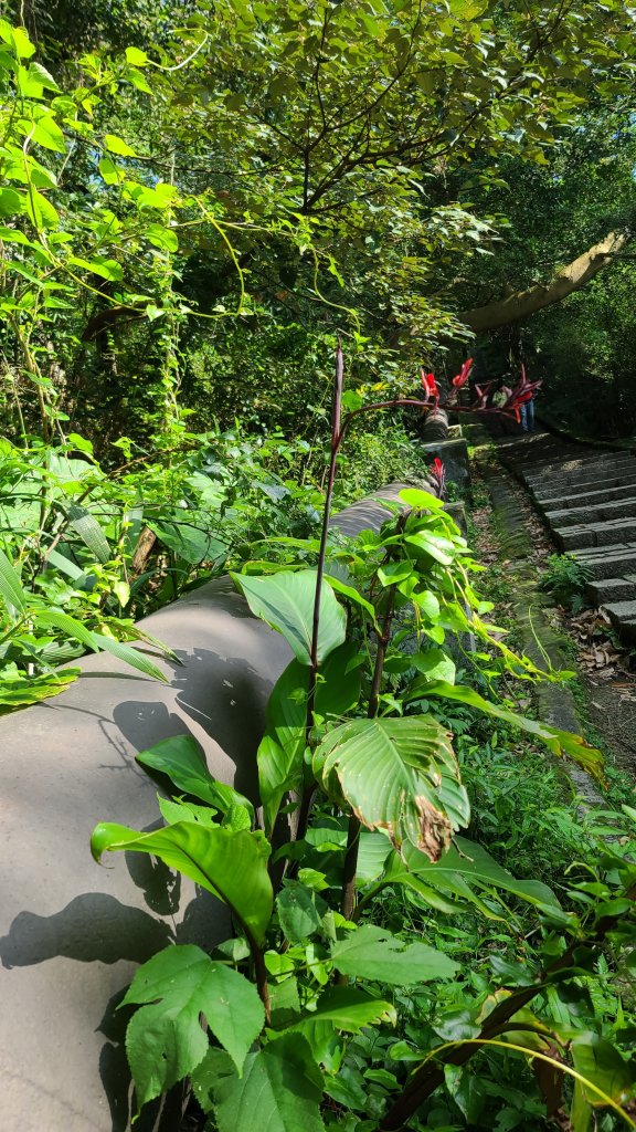 2022-0226天母古道到新北投捷運_1618951