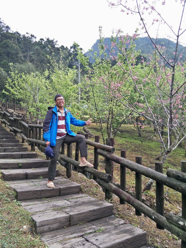 2019 03 10 鹿林山&麟趾山步道_544054