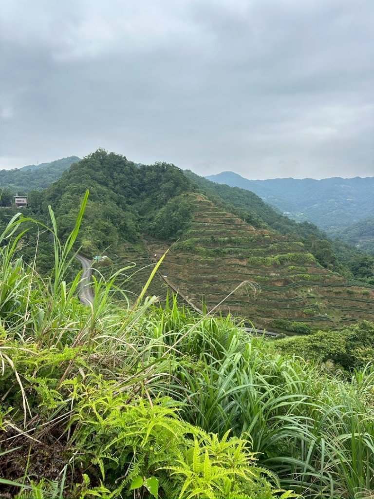 烏窟子山、獵貍尖山、黃櫸皮寮山、翡翠之眼O走_2809940